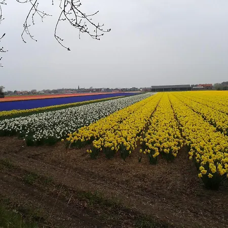 Joy Egmond-Binnen