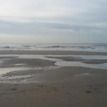 Alpstuga Joy